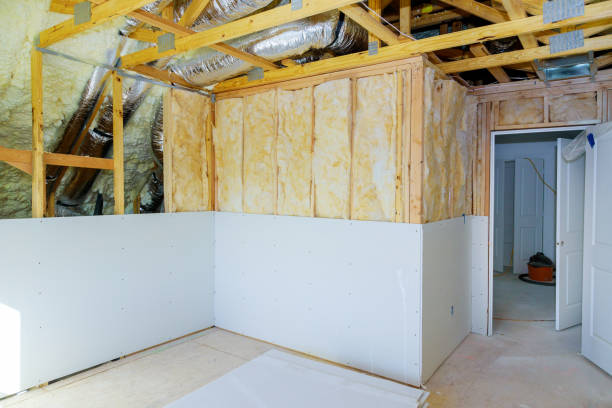 Best Spray Foam Insulation  in Wilber, NE